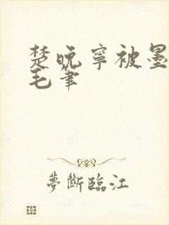 楚晚宁被墨燃塞毛笔