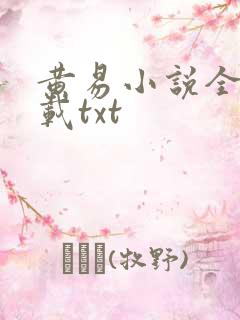 黄易小说全集下载txt