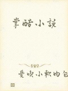 掌酷小说