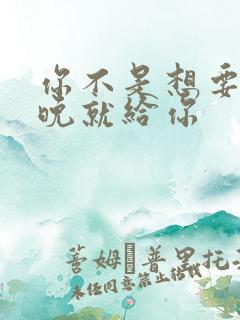 你不是想要吗今晚就给你