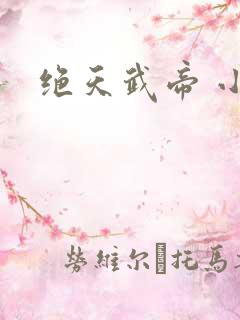绝天武帝 小说