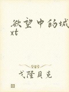 欲望中的城市txt