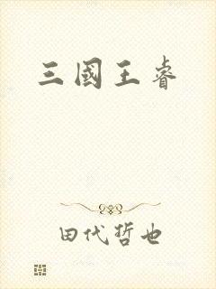三国王睿