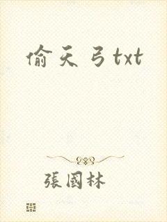 偷天弓txt
