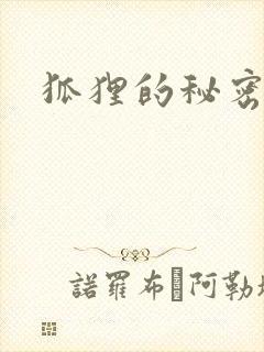 狐狸的秘密下载