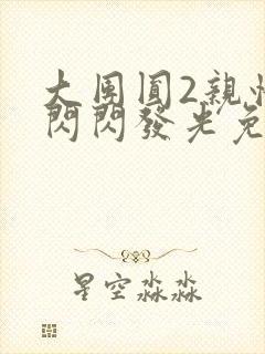 大团圆2亲情会闪闪发光免费