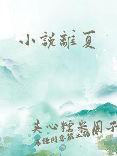 小说离夏