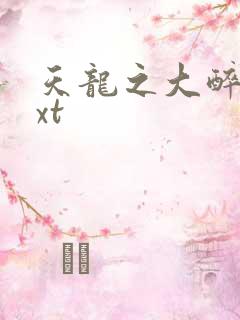 天龙之大醉侠txt