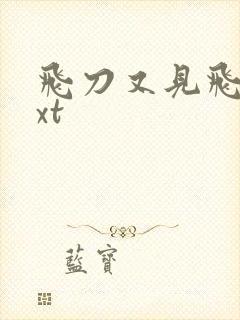 飞刀又见飞刀txt