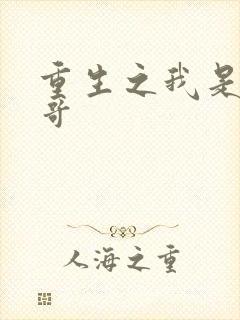 重生之我是大帅哥