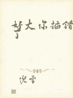 好大你插错地方了