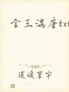 金玉满唐txt