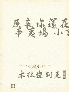 原来你还在这里 辛夷坞 小说