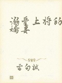 溺爱上将的宝贝娇妻