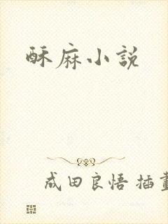 酥麻小说