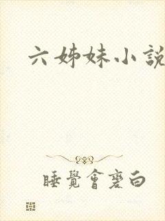 六姊妹小说