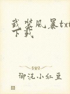 武装风暴txt下载