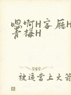 嗯啊H客厅HH青梅H
