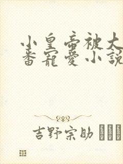 小皇帝被大臣轮番宠爱小说