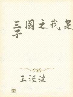 三国之我是皇太子