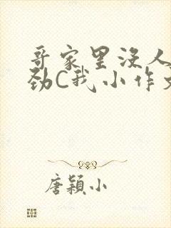 哥家里没人使点劲C我小作文视频