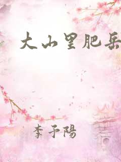 大山里肥岳小说