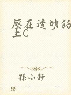 压在透明的玻璃上C