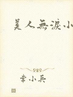 美人无泪小说
