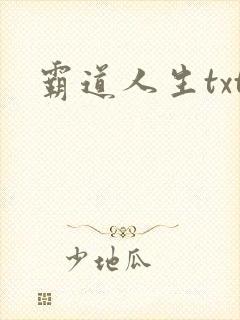 霸道人生txt