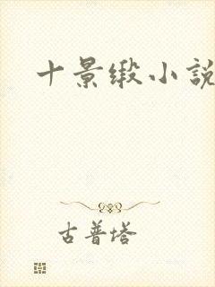 十景缎小说