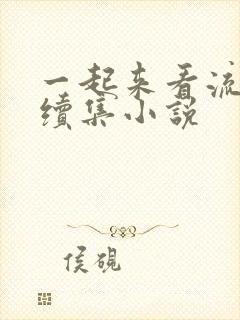 一起来看流星雨续集小说