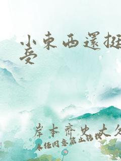 小东西还挺会享受