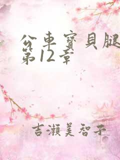 公车宝贝腿开点第12章