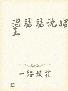 温瑟瑟沈昭摄政王