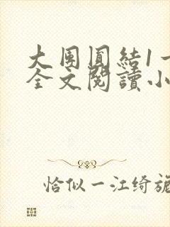 大团圆结1一6全文阅读小说