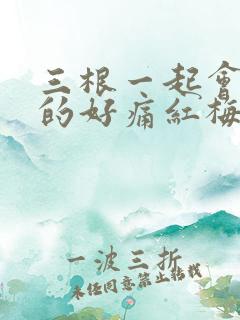 三根一起会坏掉的好痛红梅