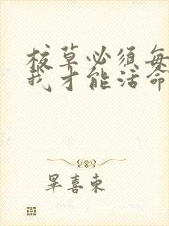 校草必须每天吸我才能活命[穿书]