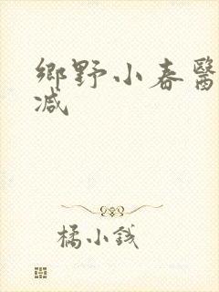 乡野小春医无删减
