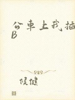 公车上我插上骚B