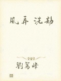 风弄 洗劫