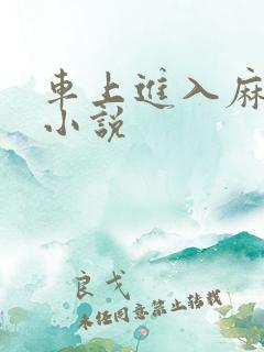 车上进入麻麻的小说