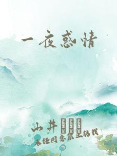 一夜惑情