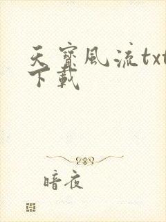 天宝风流txt下载