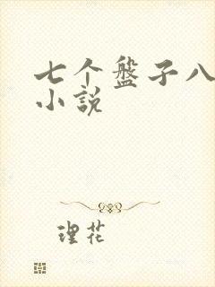 七个盘子八个碗小说