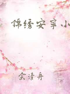 锦绣安宁小说