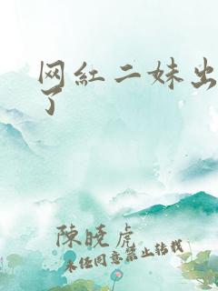 网红二妹出啥事了