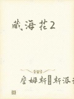 藏海花2