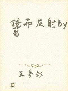 镜面反射by九葛