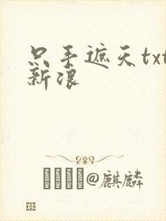 只手遮天txt新浪