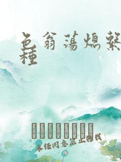 色翁荡熄系列借种